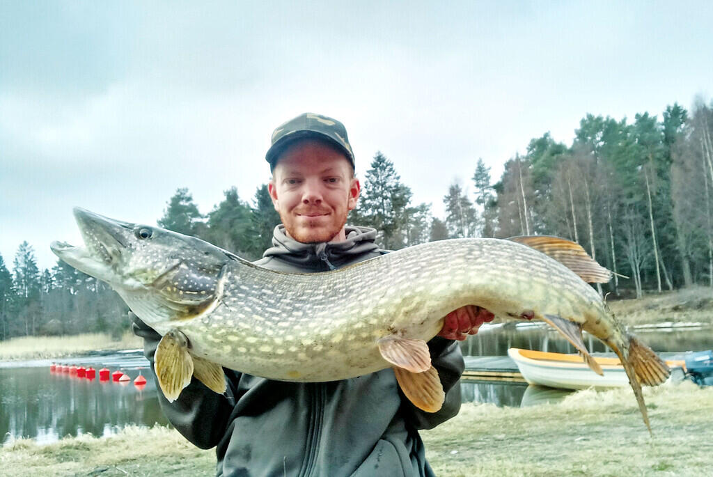 Marcus Grip with the Söderhamns pike that weighed 11.06 kg and measured a full 113 cm in length.